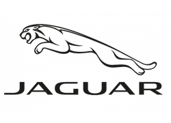 Jaguar Sonnenbrillen